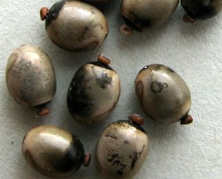 Eitjes