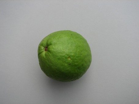 Guajava vrucht